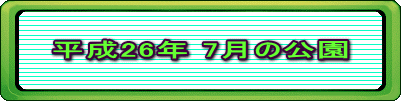 平成26年 7月の公園