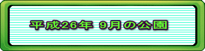 平成26年 9月の公園 