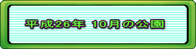 平成26年 10月の公園 