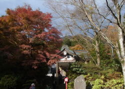 金時神社　へ