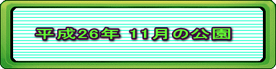 平成26年 11月の公園 