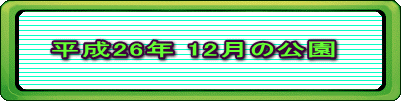 平成26年 12月の公園 