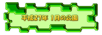 平成27年 1月の公園 