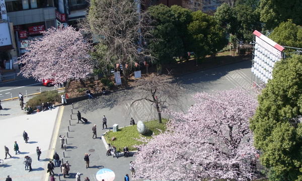 上野公園広小路口　へ