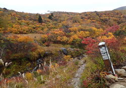 栗駒山紅葉　へ