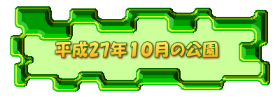 平成27年１０月の公園 