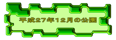 平成２７年１２月の公園 