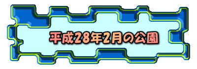 平成28年2月の公園 