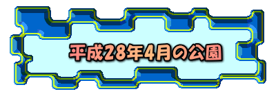 平成28年4月の公園 