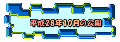 平成28年10月の公園 