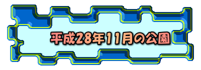 平成28年11月の公園 