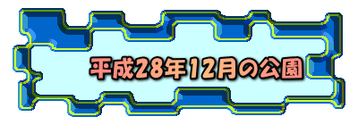 平成28年12月の公園 