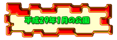 平成29年1月の公園 