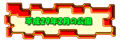 平成29年2月の公園 