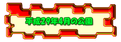 平成29年4月の公園 