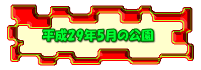 平成29年5月の公園 