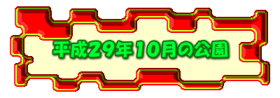 平成２９年１０月の公園