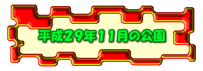 平成２９年１１月の公園