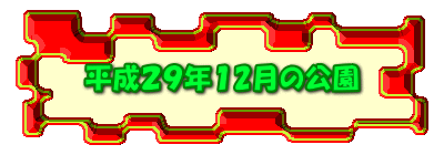 平成２９年１2月の公園