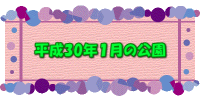 平成30年１月の公園