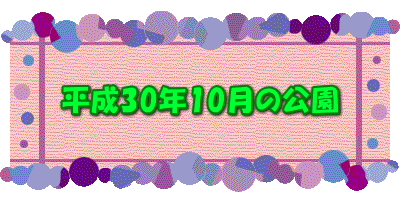 平成30年10月の公園