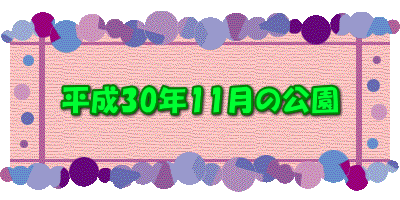 平成30年11月の公園