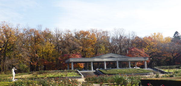 神代植物公園　バラ園　へ