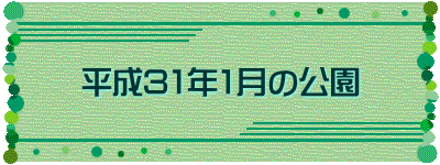 平成31年1月の公園