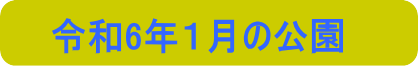 令和6年１月の公園