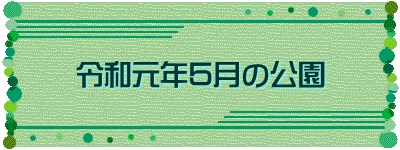 令和元年５月の公園