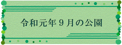 令和元年９月の公園