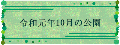 令和元年10月の公園