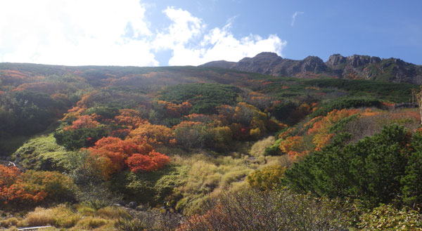 御嶽山　紅葉　へ