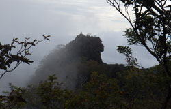 獅子岩　へ