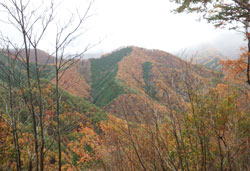 徳並山　紅葉　へ