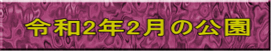 令和2年2月の公園 