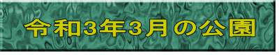 令和3年3月の公園