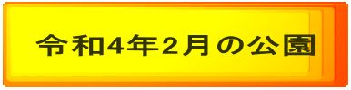 令和4年2月の公園